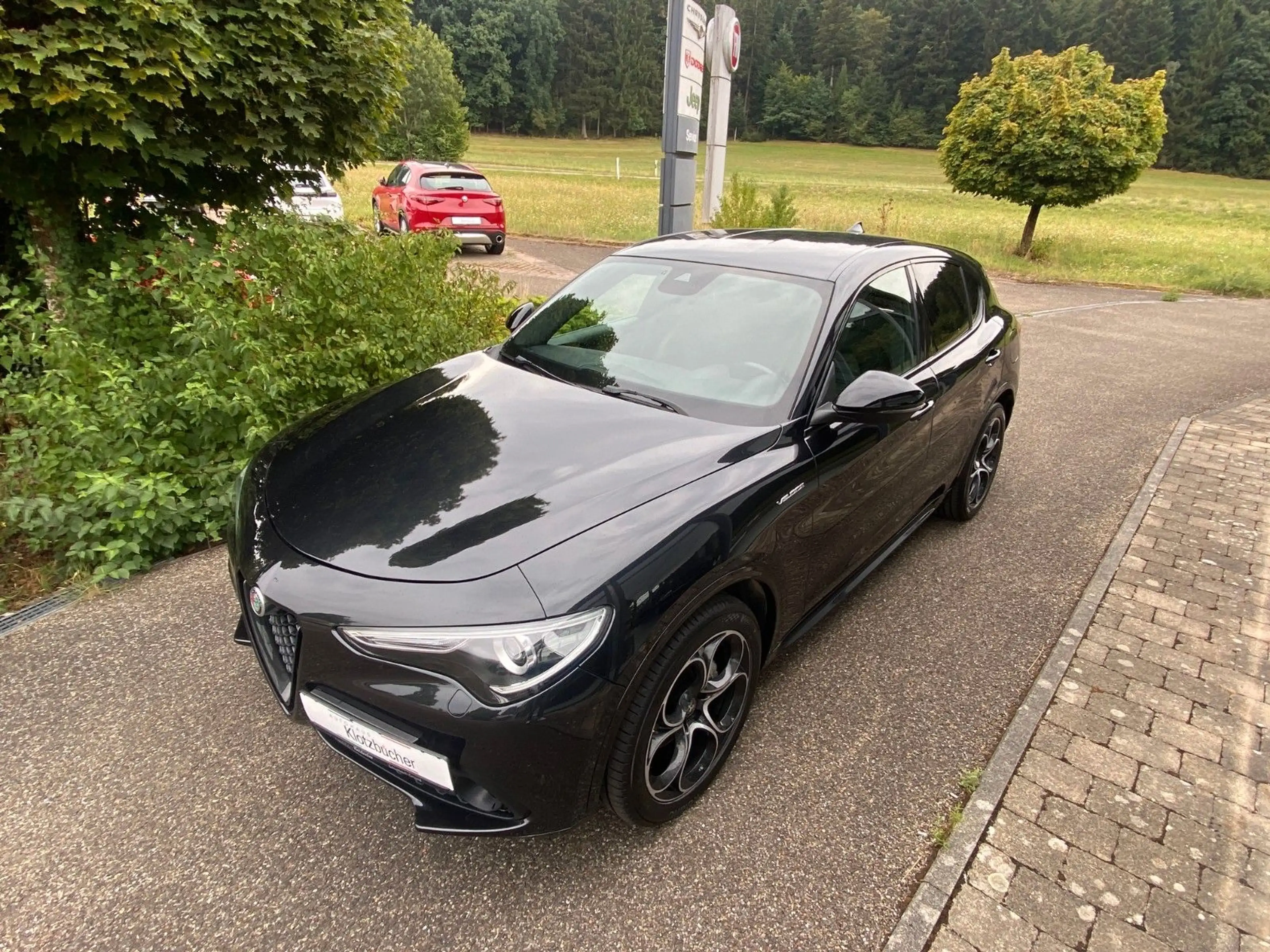 Alfa Romeo Stelvio Veloce Q4 — photo 8