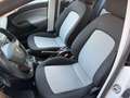 SEAT Ibiza 1.6 TDI 90 Erst Besitz - thumbnail 15