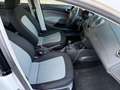 SEAT Ibiza 1.6 TDI 90 Erst Besitz - thumbnail 16