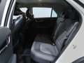 Kia Niro 1.6 GDI  HEV CONCEPT 141CV Blanc - thumbnail 22
