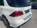 Mercedes-Benz GLE 350 d 4MATIC Austria Edition AMG Line Weiß - thumbnail 25