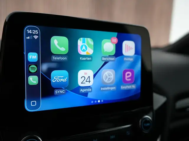 Ford Fiesta view 14