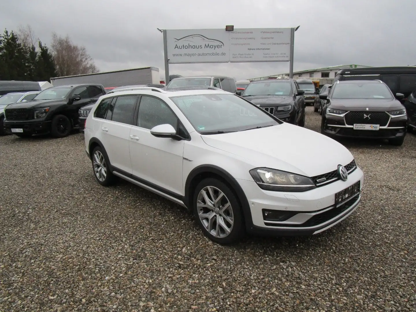 Volkswagen Golf VII Alltrack Variant BMT 4Motion Blanco - 1