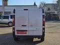 Opel Vivaro Vivaro L2H1 1,6 BiTurbo CDTI Ecotec 2,9t S/S... Weiß - thumbnail 11