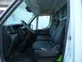 Iveco Daily Chasis Cabina 33S13 /P 3000 126 Wit - thumbnail 10