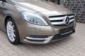 Mercedes-Benz B 200 B -Klasse B 200 Bi-Xenon/AHK/PDC Gris - thumbnail 8