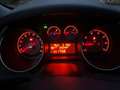 Fiat Punto Punto 1,2 69 Pop Pop Weiß - thumbnail 6