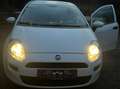 Fiat Punto Punto 1,2 69 Pop Pop Weiß - thumbnail 1