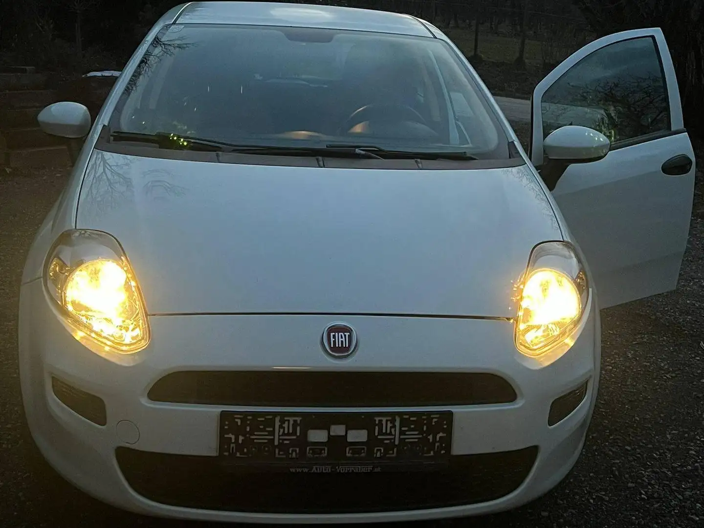 Fiat Punto Punto 1,2 69 Pop Pop Weiß - 1