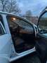 Fiat Punto Punto 1,2 69 Pop Pop Weiß - thumbnail 7
