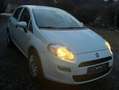 Fiat Punto Punto 1,2 69 Pop Pop Weiß - thumbnail 9