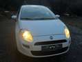 Fiat Punto Punto 1,2 69 Pop Pop Weiß - thumbnail 12