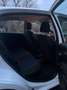 Fiat Punto Punto 1,2 69 Pop Pop Weiß - thumbnail 11