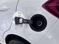 Ford EcoSport ST-LINE STYLING KLIMA+NAV+XENON+ALU+TÜV Weiß - thumbnail 21