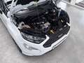 Ford EcoSport ST-LINE STYLING KLIMA+NAV+XENON+ALU+TÜV Weiß - thumbnail 14