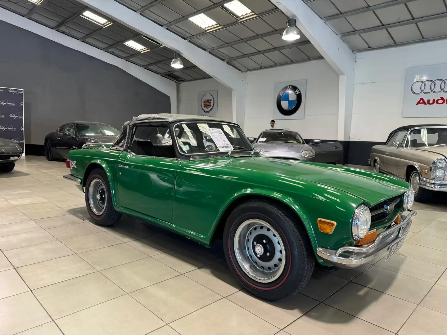 Triumph TR6 Verde - 1