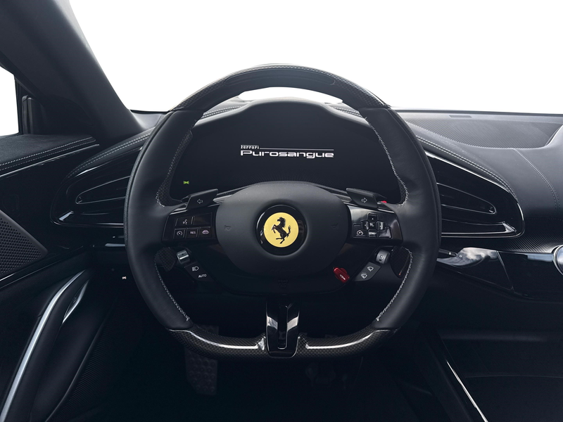 Ferrari Purosangue *Embleme*HiFi*PDC*Klima*Leder* — photo 14