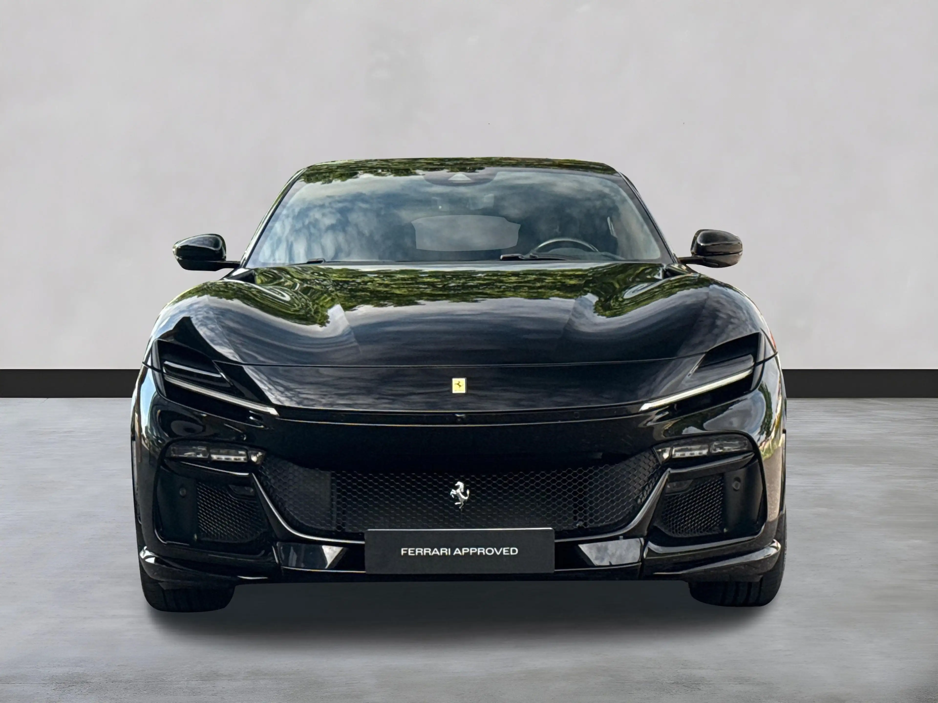 Ferrari Purosangue *Embleme*HiFi*PDC*Klima*Leder* — photo 4