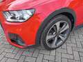 Audi A1 A1 allstreet 30 TFSI S tronic Identity Contrast Rosso - thumbnail 6