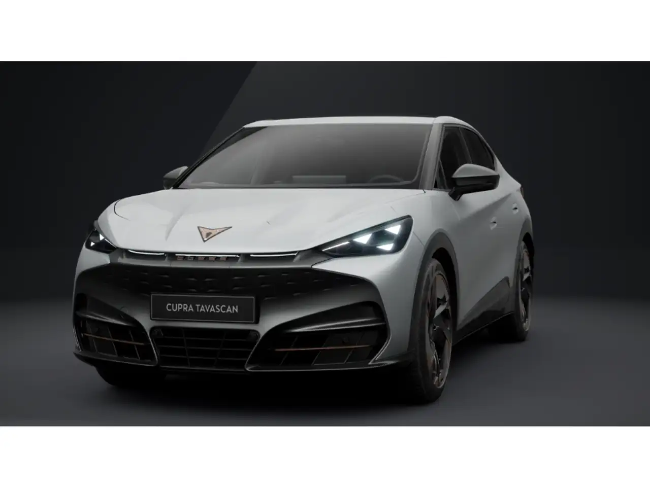 CUPRA Tavascan Endurance 210 KW AHK ADRENALINE PACK TOP VIEW RANO — photo 1 of 7