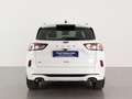 Ford Kuga 2.0 EcoBlue ST-Line X AWD 190 Aut. Blanco - thumbnail 6