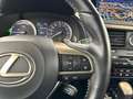 Lexus RX 450h Executive Line AWD Blue - thumbnail 24
