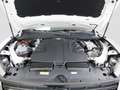 Volkswagen Touareg Elegance 3.0 V6 TDI SCR 4MOTION 8-Gang-Tiptronic Blanco - thumbnail 7