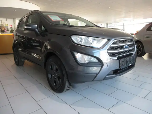 Ford Ecosport view 2