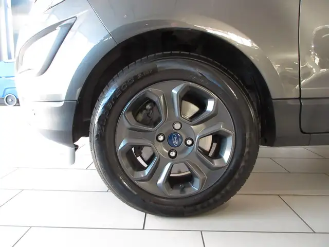 Ford Ecosport view 15