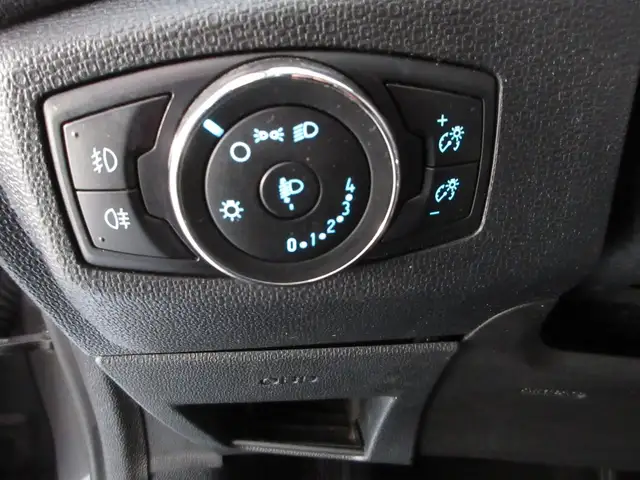 Ford Ecosport view 11