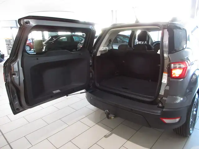 Ford Ecosport view 14