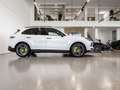 Porsche Cayenne E-Hybrid III *LUFT*PANO*AHK*21 ZOLL* Weiß - thumbnail 16