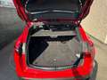 Alfa Romeo Stelvio Stelvio 2.2 Turbodiesel 190 CV AT8 Q4 Super Busine Red - thumbnail 14