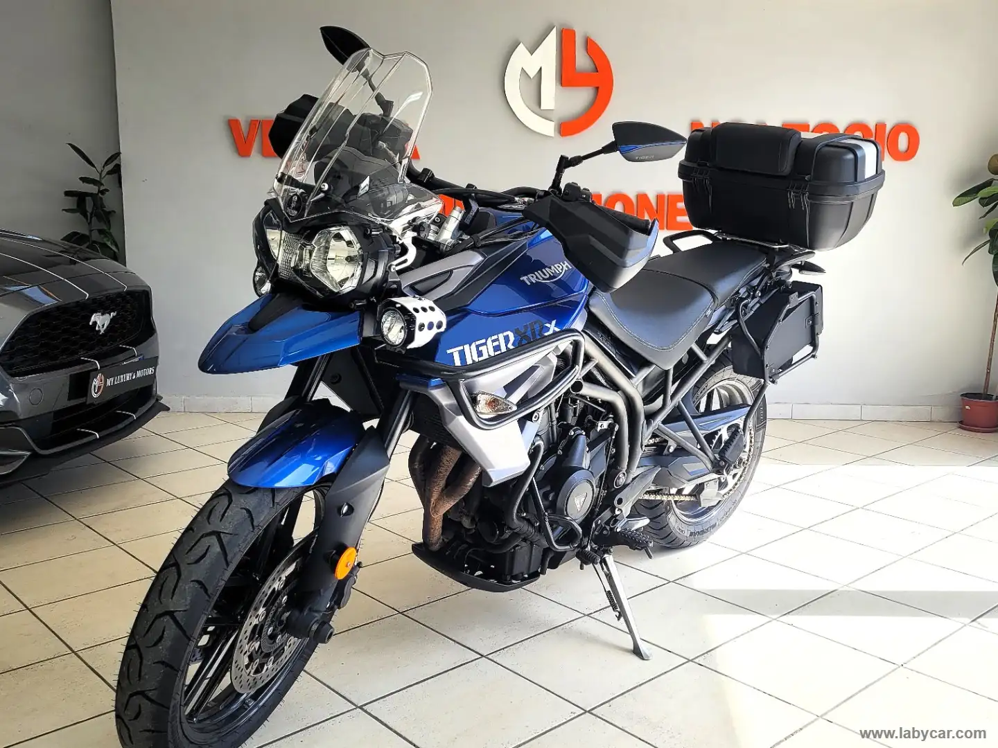 Triumph Tiger 800 TIGER 800 XRX LOW SEAT FULL*P.CONSEGNA Albastru - 1