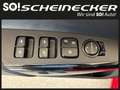 Kia Picanto 1,0 GDI Titan (5 Sitzer) Rot - thumbnail 14