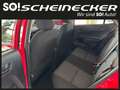 Kia Picanto 1,0 GDI Titan (5 Sitzer) Rot - thumbnail 9