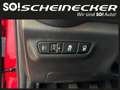 Kia Picanto 1,0 GDI Titan (5 Sitzer) Rot - thumbnail 15