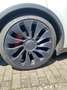 Tesla Model 3 Model Y Performance Dual AWD Autopilot MwSt. Schwarz - thumbnail 7