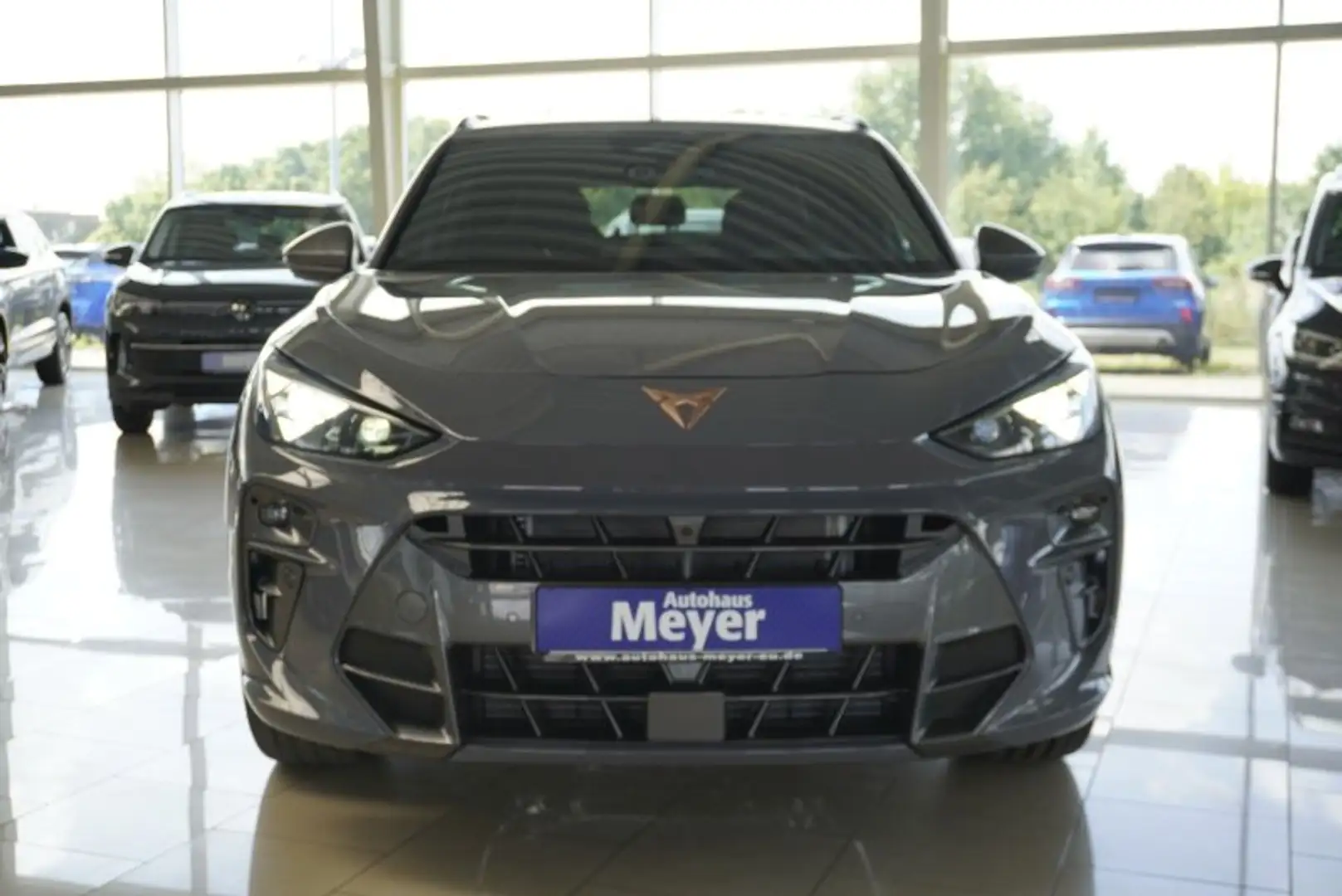 CUPRA Terramar VZ 2,0TSI 265PS 4Drive UPE=65000€ !              * Grau - 2