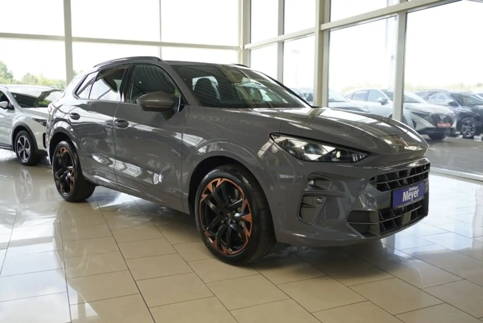 CUPRA Terramar VZ 2,0TSI 265PS 4Drive UPE=65000€ !              * Grau - 1