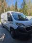 Fiat Ducato Weiß - thumbnail 2