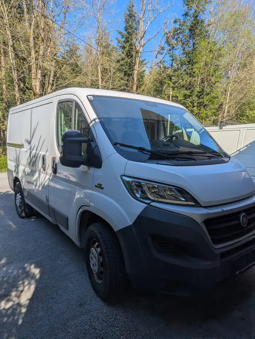 Fiat Ducato Weiß - 2