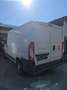 Fiat Ducato Weiß - thumbnail 5