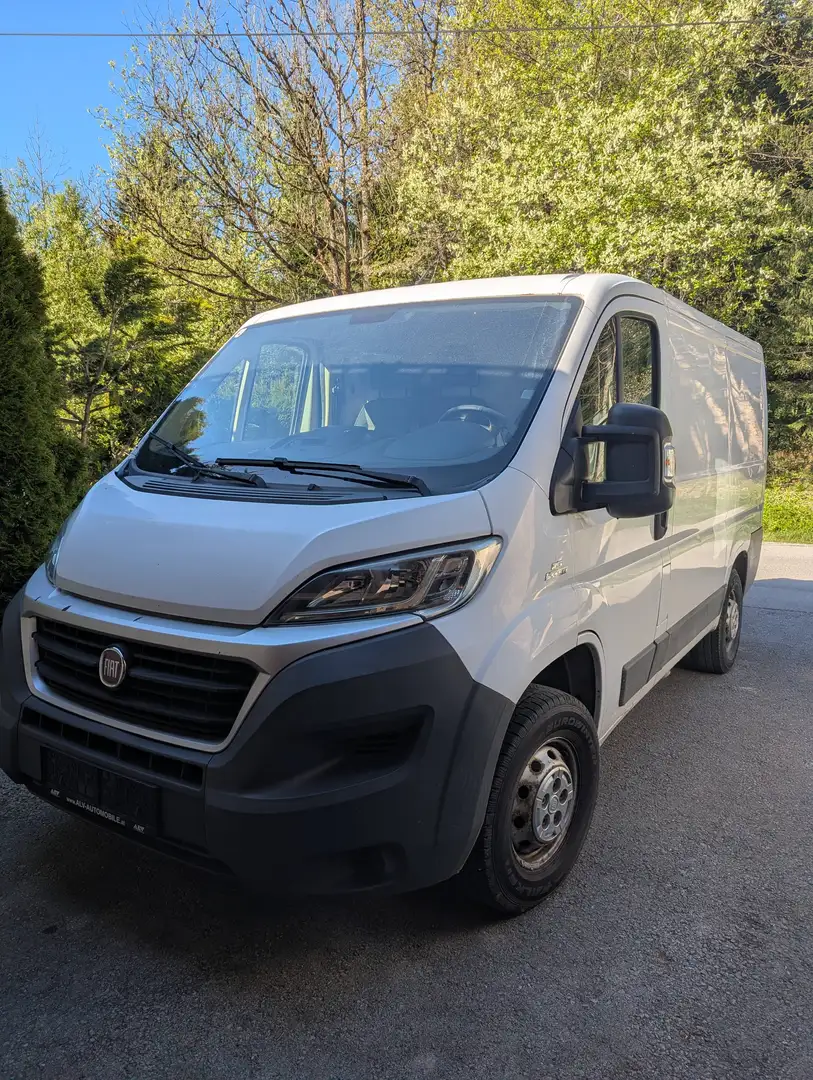 Fiat Ducato Weiß - 1