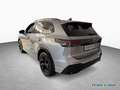 Volkswagen Tiguan 2.0 TDI DSG R-LINE LED-MATRIX PANO AHK Silber - thumbnail 8
