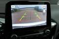 Ford Fiesta 1.0 EcoBoost Titanium | Camera achter | Carplay | Grau - thumbnail 19