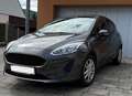 Ford Fiesta Fiesta Flash 1,4 i Grau - thumbnail 1