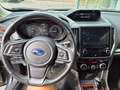 Subaru Forester Forester Sport Edition 2,0e-Boxer AWD CVT Grau - thumbnail 14