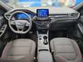 Ford Kuga 2,0 EcoBlue Hybrid ST-Line Aut. Schwarz - thumbnail 9
