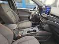 Ford Kuga 2,0 EcoBlue Hybrid ST-Line Aut. Schwarz - thumbnail 21